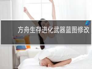 方舟生存进化武器蓝图修改