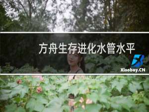 方舟生存进化水管水平
