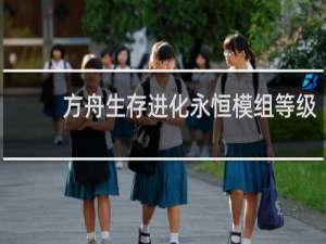方舟生存进化永恒模组等级