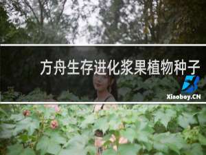 方舟生存进化浆果植物种子