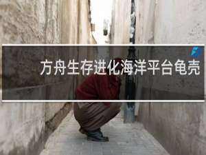 方舟生存进化海洋平台龟壳