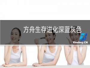 方舟生存进化深蓝灰色