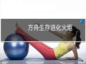 方舟生存进化火炬