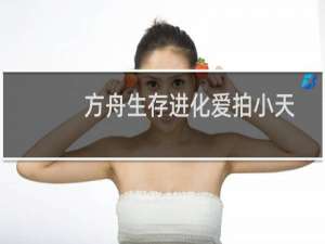 方舟生存进化爱拍小天