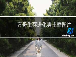 方舟生存进化男主播图片