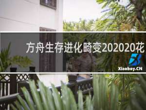 方舟生存进化畸变   花