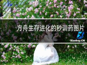 方舟生存进化的秒训药图片