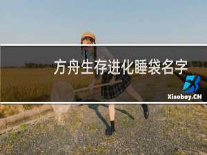 方舟生存进化睡袋名字