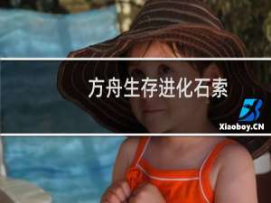 方舟生存进化石索