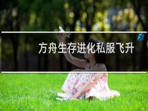 方舟生存进化私服飞升