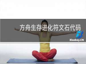 方舟生存进化符文石代码