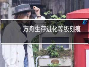 方舟生存进化等级刻痕