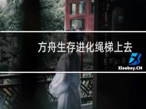 方舟生存进化绳梯上去