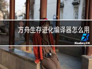 方舟生存进化编译器怎么用