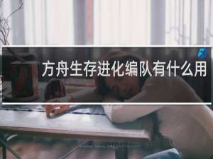 方舟生存进化编队有什么用