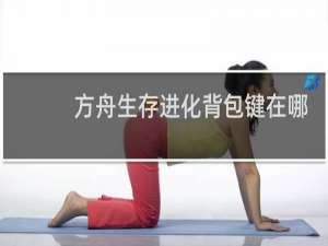 方舟生存进化背包键在哪