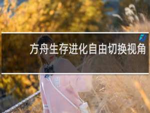 方舟生存进化自由切换视角