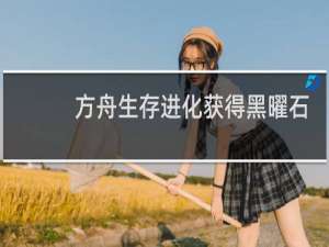 方舟生存进化获得黑曜石
