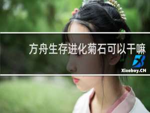 方舟生存进化菊石可以干嘛