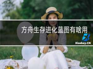 方舟生存进化蓝图有啥用