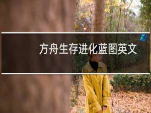 方舟生存进化蓝图英文