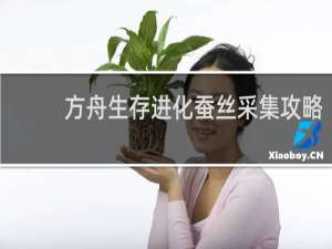 方舟生存进化蚕丝采集攻略