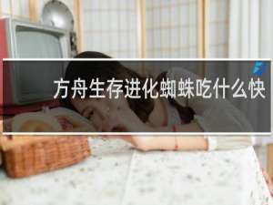 方舟生存进化蜘蛛吃什么快