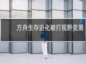 方舟生存进化被打视野变黑