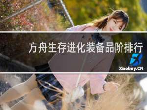 方舟生存进化装备品阶排行