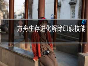 方舟生存进化解除印痕技能