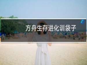 方舟生存进化训袋子