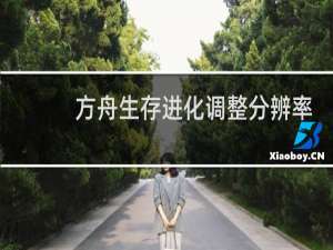 方舟生存进化调整分辨率