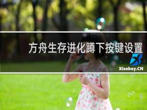 方舟生存进化蹲下按键设置