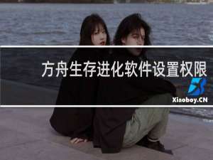 方舟生存进化软件设置权限