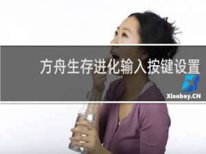 方舟生存进化输入按键设置