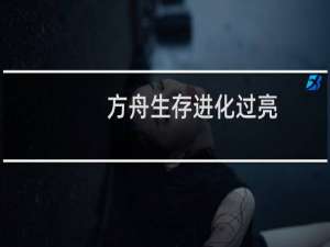 方舟生存进化过亮