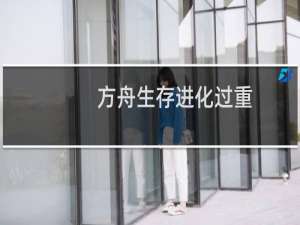 方舟生存进化过重