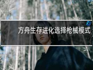 方舟生存进化选择枪械模式