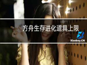 方舟生存进化道具上限