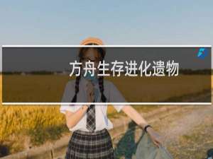 方舟生存进化遗物