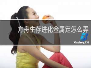 方舟生存进化金属定怎么弄