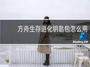 方舟生存进化钥匙包怎么用