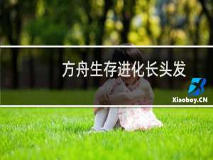 方舟生存进化长头发