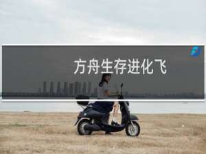 方舟生存进化飞