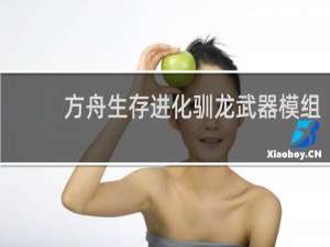 方舟生存进化驯龙武器模组