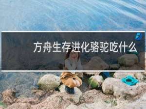 方舟生存进化骆驼吃什么