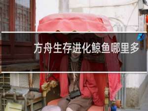 方舟生存进化鲸鱼哪里多