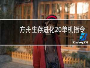 方舟生存进化 单机指令