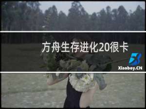方舟生存进化 很卡