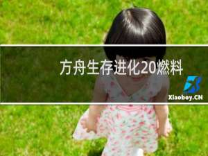 方舟生存进化 燃料